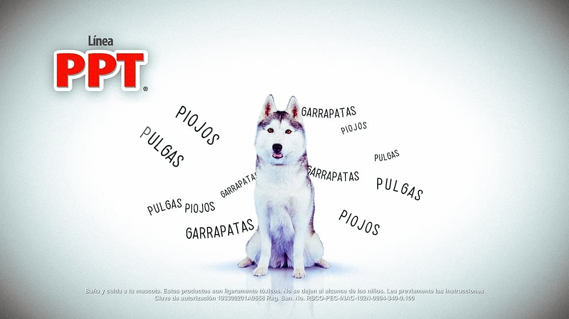 GRISI® Pet Care - Linea PPT