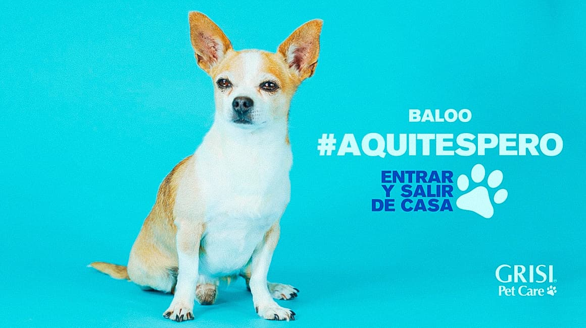 GRISI® Pet Care - #aquitespero