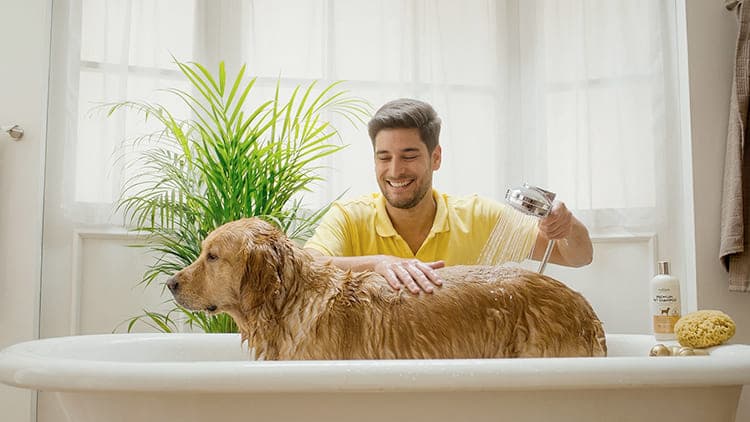 Preview del reel de Aracle